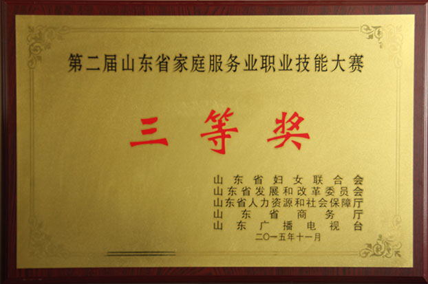 淄博家政、保潔月嫂